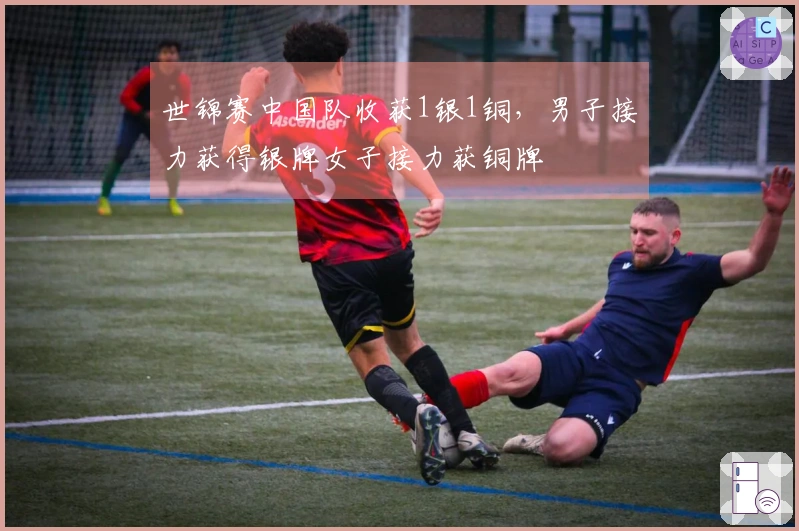 世锦赛中国队收获1银1铜，男子接力获得银牌女子接力获铜牌