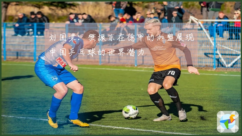 刘国梁：樊振东在德甲的加盟展现中国乒乓球的世界潜力