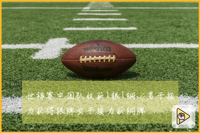 世锦赛中国队收获1银1铜，男子接力获得银牌女子接力获铜牌